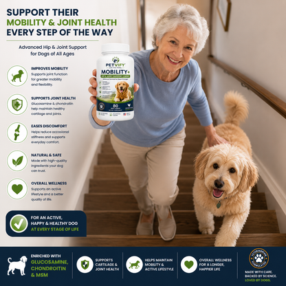 Petvify™ Mobility+ Hip & Joint Support Chews